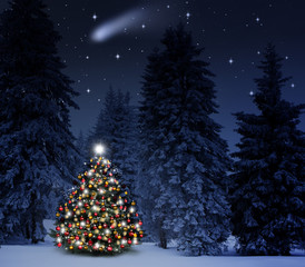Weihnachtsbaum im Winterwald
