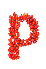 Red hip rose letter p