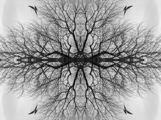 abstract symmetrical wallpaper