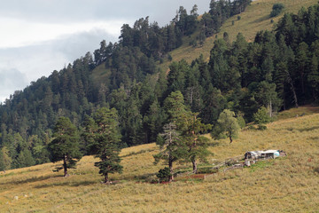 Alpine farm