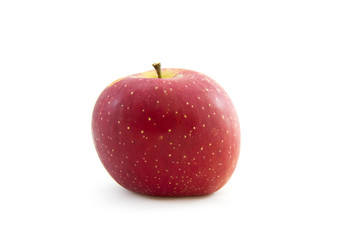 Red apple on white background