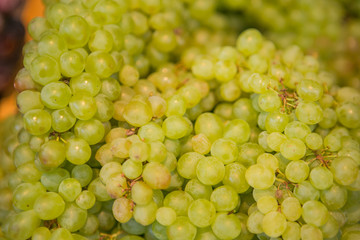 White wine grapes in a market