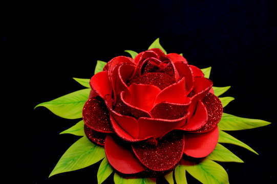 Beautiful bright red rose and green petals isolated on black background.