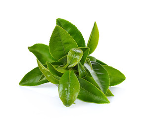 Obraz premium Green tea leaf isolated on white background