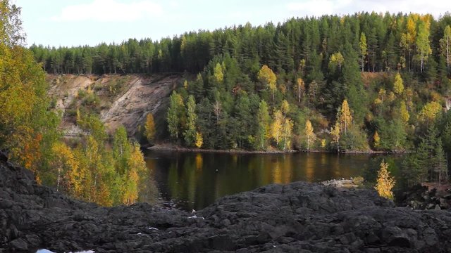 Wild forest river in autumn