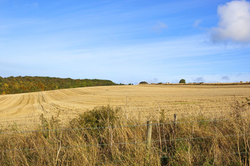 harvest time in autumn