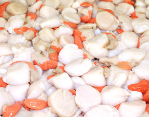 noix de saint-jacques