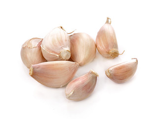 Garlic isolated on white background