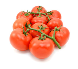 Ten red tomatoes on the vine