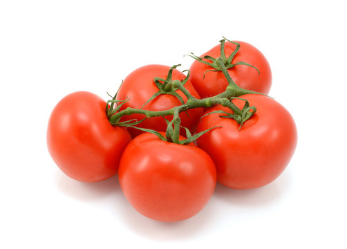 Five ripe red tomatoes on the vine