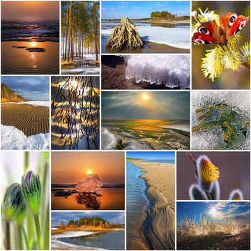 Collage on the theme of spring. The nature of Russia,Siberia,Novosibirsk region