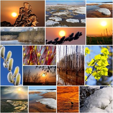 Коллаж на тему весна. Природа России,Сибирь,Новосибирская область