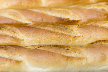 French loaves close up