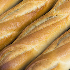 French loaves close up