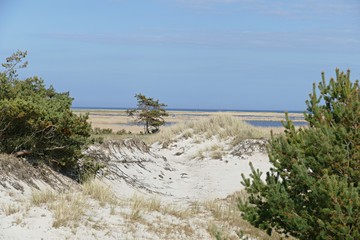 Wilde Dünen 