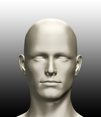 3d rendered illustration of a human head
