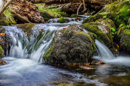 Bayerischer Wald, Bayern, Deutschland