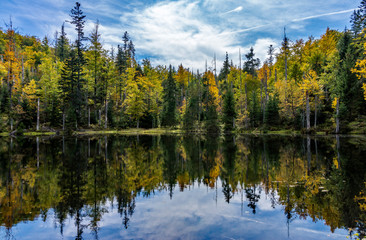 Bayerischer Wald, Bayern, Deutschland