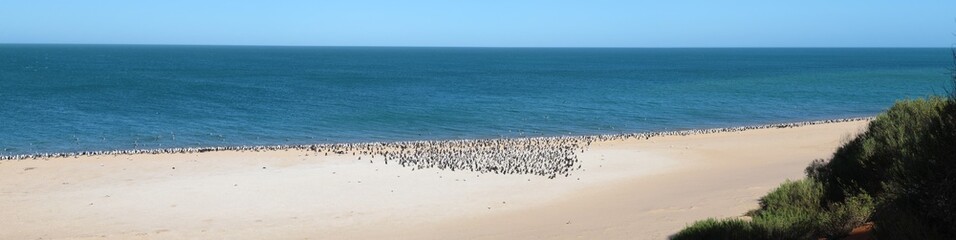 Francois Peron National Park, Shark Bay, Western Australia
