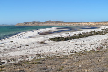 Fototapeta na wymiar Francois Peron National Park, Shark Bay, Western Australia 