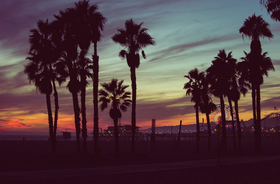 Sunset colors with palms silhouettes in Santa monica, Los angeles