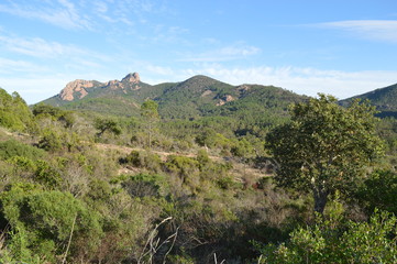 Sainte Baume & Pilon