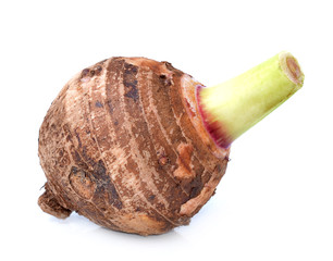 taro isolated on white background