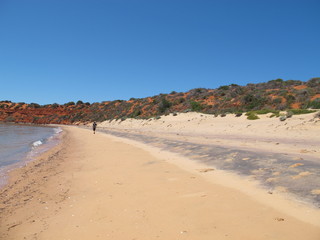 Fototapeta na wymiar Francois Peron National Park, Shark Bay, Western Australia 