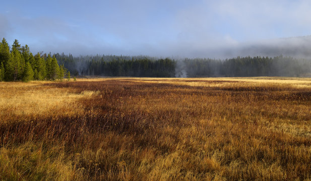 Fall In The Upper Geyser Basin