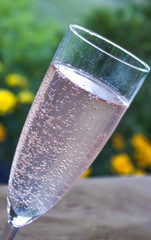 Pink champagne