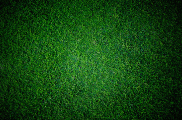 Obraz premium Soccer football grass field