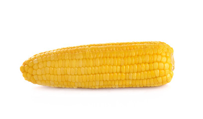 corn isolated on white  background