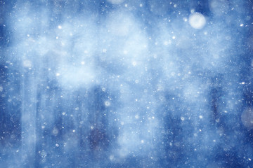 blurred background bokeh nature, unfocused