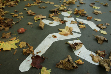 concept autumn is coming to town, leaves on the road