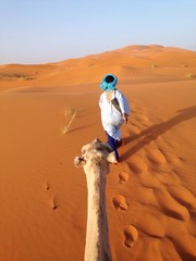 Fototapeta na wymiar camel trekking