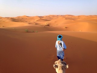 Fototapeta na wymiar camel trekking