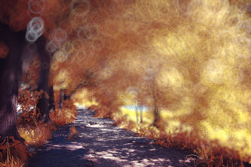 blurred orange autumn background