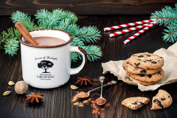 Spicy hot chocolate with cinnamon stick over dark wooden background.
