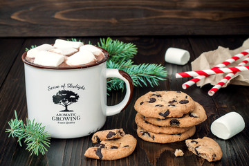 Hot chocolate with marshmallows and chocolate chip cookies over dark wooden background.
