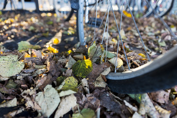 wheel of bike with leaves in autumn