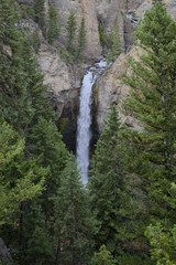 Fototapeta na wymiar Tower Falls