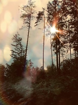 Podroz Bilder Durchsuchen 524 Archivfotos, und Videos