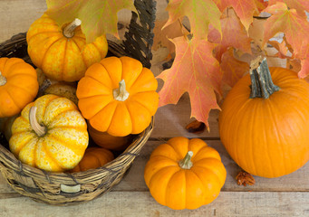 Pumpkins and Gourds