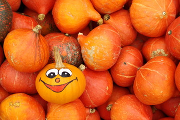 Zeit für einen Kürbis