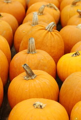 Zeit für einen Kürbis