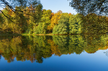 Fototapeta na wymiar Autumn sunny morning in a pond in the forest park