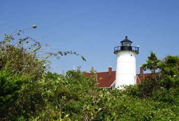 Fototapeta na wymiar Nobska Point Light, Cape Cod