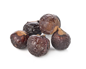 Soap nut tree isolated on  white background