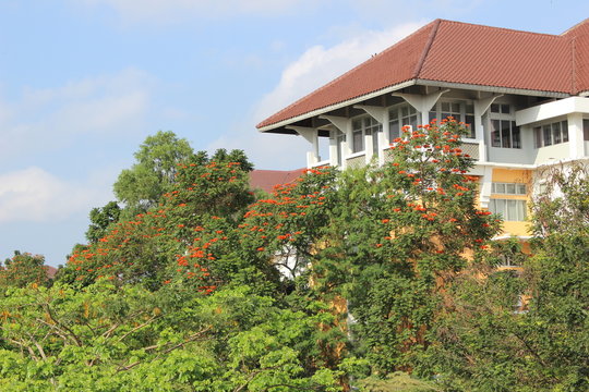 UIN Building