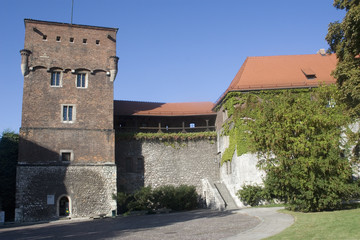 Royal Castlel interior courtyard.Wawel Hill.Krakow, Poland